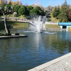Jardim do Lago - Covilha