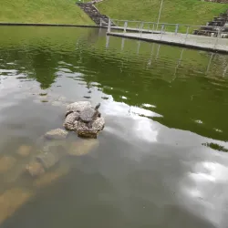 Jardim do Lago - Covilha