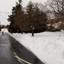 Penhas da Saúde - Covilha