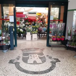 Ericeira Municipal Market - Ericeira