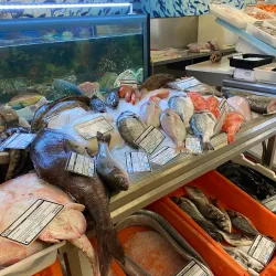 Ericeira Municipal Market - Ericeira