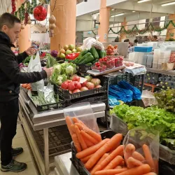 Ericeira Municipal Market - Ericeira