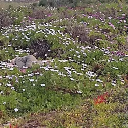 Ericeira World Surfing Reserve - Ericeira