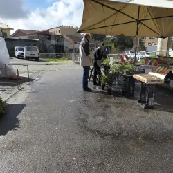Mercado Municipal de Ermesinde - Ermesinde