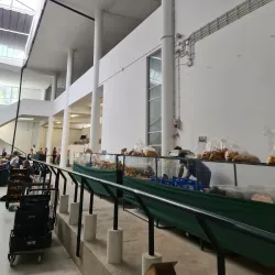 Mercado Municipal de Ermesinde - Ermesinde