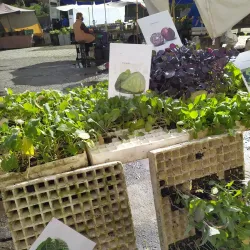 Mercado Municipal de Ermesinde - Ermesinde