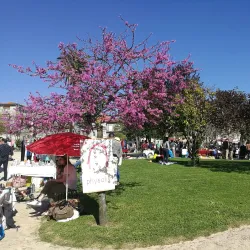Praça da República - Ermesinde