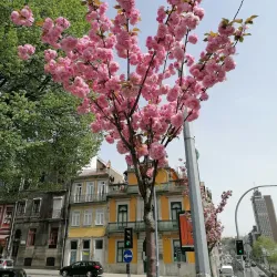 Praça da República - Ermesinde