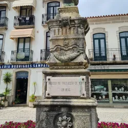 Cávado River - Esposende