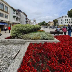 Cávado River - Esposende