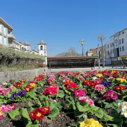 Cávado River - Esposende