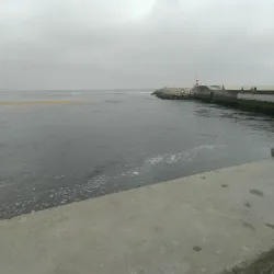 Fort of São João Baptista de Esposende - Esposende