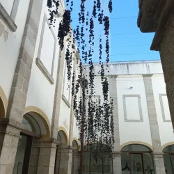 Évora Museum (Museu de Évora) - Evora