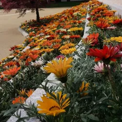 Casa da Cultura de Fafe - Fafe