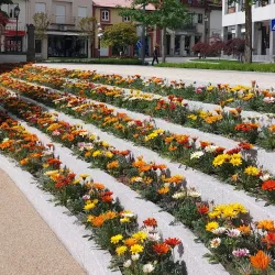 Casa da Cultura de Fafe - Fafe