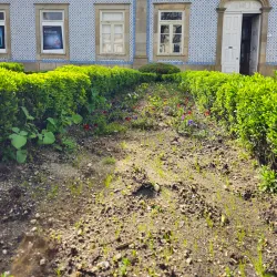 Museu Municipal de Fafe - Fafe