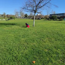 Parque da Cidade de Fafe - Fafe