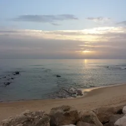 Cabo Mondego - Figueira da Foz