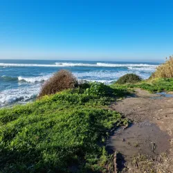 Cabo Mondego - Figueira da Foz