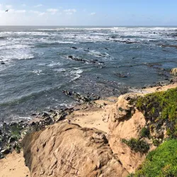 Cabo Mondego - Figueira da Foz