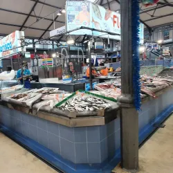 Mercado Municipal Engenheiro Silva - Figueira da Foz