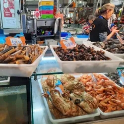 Mercado Municipal Engenheiro Silva - Figueira da Foz