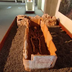 Museu Municipal Santos Rocha - Figueira da Foz