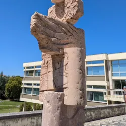 Museu Municipal Santos Rocha - Figueira da Foz