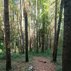 Parque Natural das Serra da Boa Viagem - Figueira da Foz