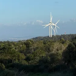 Parque Natural das Serra da Boa Viagem - Figueira da Foz