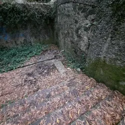 Parque Natural das Serra da Boa Viagem - Figueira da Foz