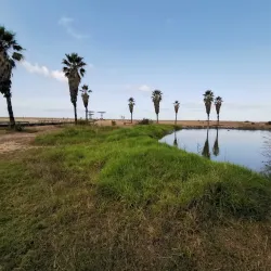 Praia da Claridade - Figueira da Foz