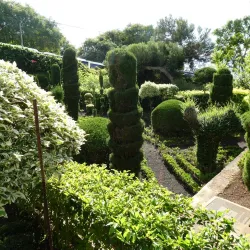 Madeira Botanical Garden - Funchal