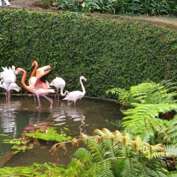Monte Palace Tropical Garden - Funchal