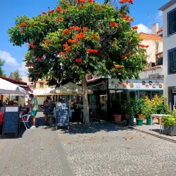 Rua de Santa Maria - Funchal