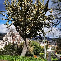 Santa Catarina Park - Funchal