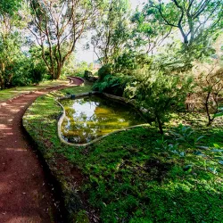 Fayal Botanical Garden (Jardim Botânico do Faial) - Horta