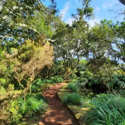 Fayal Botanical Garden (Jardim Botânico do Faial) - Horta