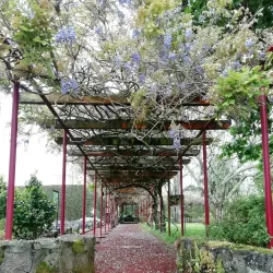Fayal Botanical Garden (Jardim Botânico do Faial) - Horta