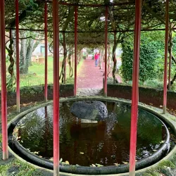 Fayal Botanical Garden (Jardim Botânico do Faial) - Horta