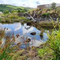 Fayal Botanical Garden (Jardim Botânico do Faial) - Horta