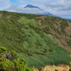 Monte da Guia - Horta
