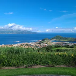 Whale Watching Tours - Horta