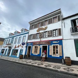 Whale Watching Tours - Horta