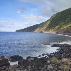 Whale Watching Tours - Horta