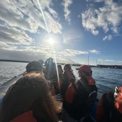 Whale Watching Tours - Horta