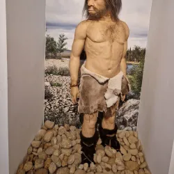 Museu de Leiria - Leiria