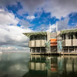 Lisbon Oceanarium (Oceanário de Lisboa) - Lisbon