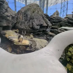 Lisbon Oceanarium (Oceanário de Lisboa) - Lisbon