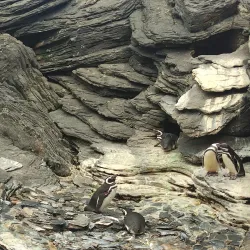 Lisbon Oceanarium (Oceanário de Lisboa) - Lisbon